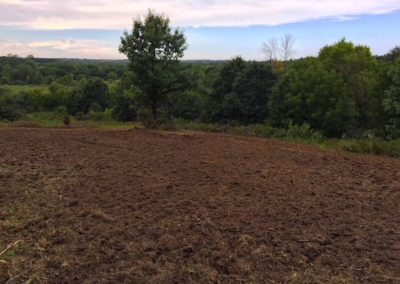 100 Acres | Monroe County | Iowa Hunting Land For Sale