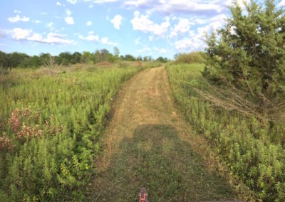 100 Acres | Monroe County | Iowa Hunting Land For Sale