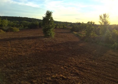 100 Acres | Monroe County | Iowa Hunting Land For Sale