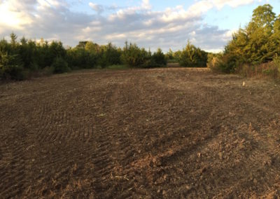 100 Acres | Monroe County | Iowa Hunting Land For Sale