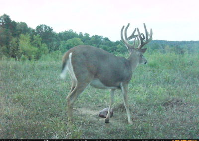 100 Acres | Monroe County | Iowa Hunting Land For Sale