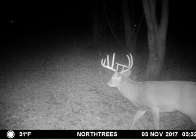 146 Acres For Sale | Tama County, Iowa