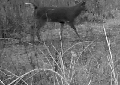59 Acres Fayette County, Iowa | Huff Land Company