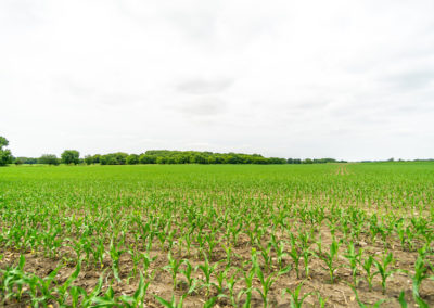 136 Acres | Butler County Farmland For Sale