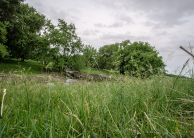24135 Birch Ave Dumont | Iowa Land For Sale