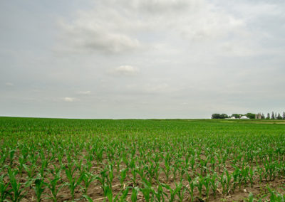 136 Acres | Butler County Farmland For Sale