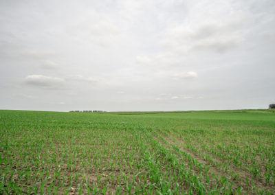 136 Acres | Butler County Farmland For Sale