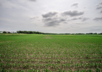 136 Acres | Butler County Farmland For Sale
