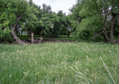 24135 Birch Ave Dumont | Iowa Land For Sale