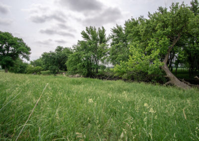 24135 Birch Ave Dumont | Iowa Land For Sale