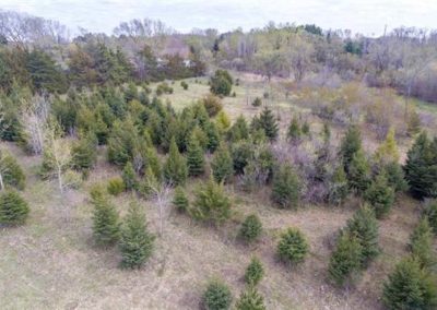 3 Acres M/L Butler County | Building Lot for Sale | Huff Land Company