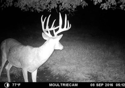 395 Acres Of Iowa Hunting Land For Sale In Clarke County | Huff Land Co.