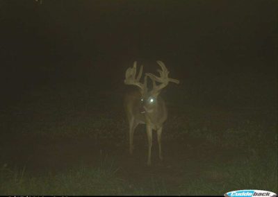 395 Acres Of Iowa Hunting Land For Sale In Clarke County | Huff Land Co.