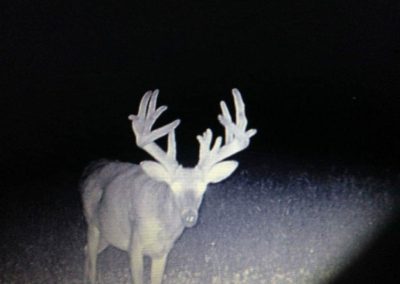 395 Acres Of Iowa Hunting Land For Sale In Clarke County | Huff Land Co.