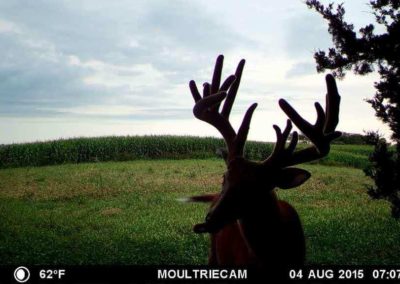 395 Acres Of Iowa Hunting Land For Sale In Clarke County | Huff Land Co.