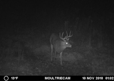 395 Acres Of Iowa Hunting Land For Sale In Clarke County | Huff Land Co.