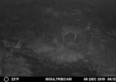 395 Acres Of Iowa Hunting Land For Sale In Clarke County | Huff Land Co.