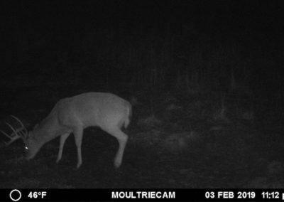 395 Acres Of Iowa Hunting Land For Sale In Clarke County | Huff Land Co.
