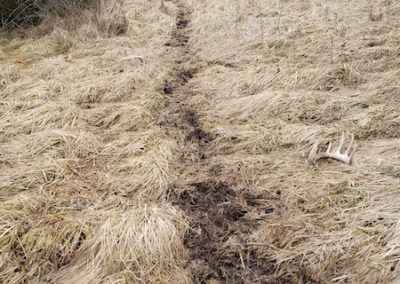 395 Acres Of Iowa Hunting Land For Sale In Clarke County | Huff Land Co.