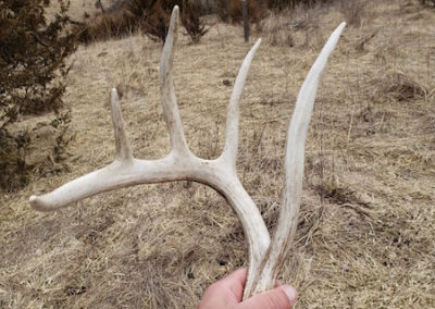 395 Acres Of Iowa Hunting Land For Sale In Clarke County | Huff Land Co.