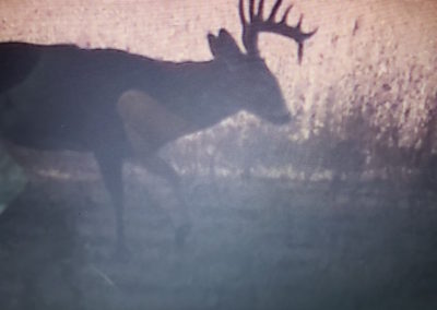 395 Acres Of Iowa Hunting Land For Sale In Clarke County | Huff Land Co.