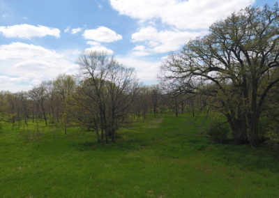 127 Acres | Franklin County Iowa