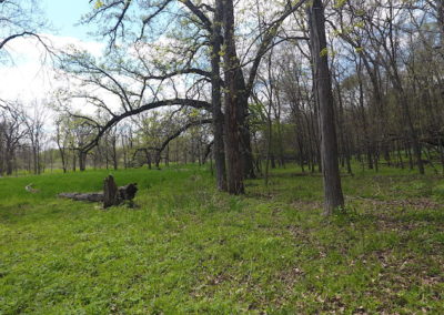 127 Acres | Franklin County Iowa