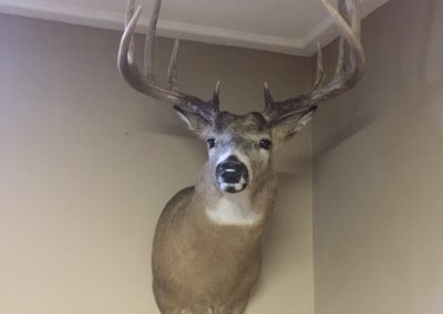 127 Acres | Franklin County Iowa