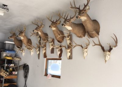 127 Acres | Franklin County Iowa