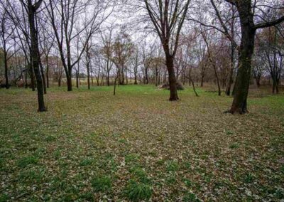 1036 Yukon Ave. Sumner, Iowa | Huff Land Company