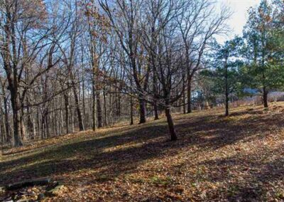 101 Bluff Dr. Janesville | Bremer Co. Acreage For Sale | Huff Land Co.