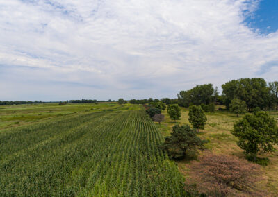 2652 Vine Ave. Fairbank | 94 Acres For Sale | Huff Land Company