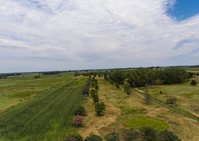 2652 Vine Ave. Fairbank | 94 Acres For Sale | Huff Land Company