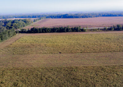 35 Acres Butler County | New Hartford Land For Sale | Huff Land Company