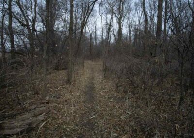 212th Street Waverly | Acreage Building Lot for Sale | Huff Land Co.