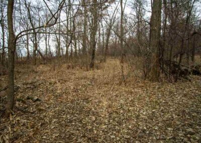 212th Street Waverly | Acreage Building Lot for Sale | Huff Land Co.