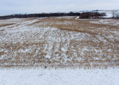 73 Acres m/l Grundy County | Farmland for Sale | Huff Land Company
