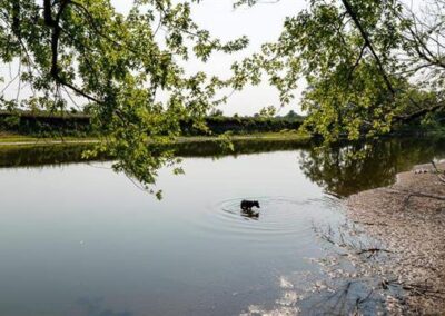 Janesville Acreage for Sale | 115 Bluff Drive | Huff Land Company