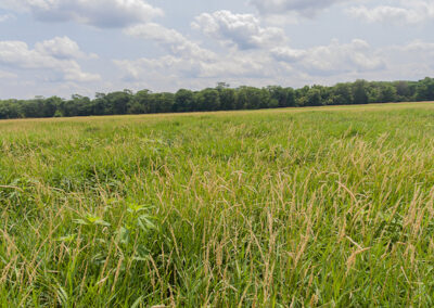 78 Acres of Hunting Land for Sale in Butler County, Iowa