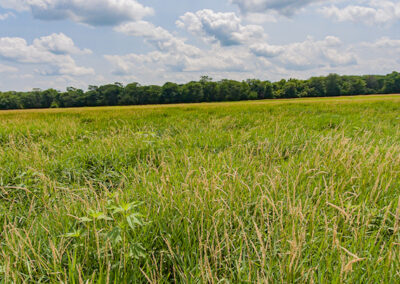 78 Acres of Hunting Land for Sale in Butler County, Iowa
