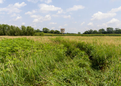 78 Acres of Hunting Land for Sale in Butler County, Iowa