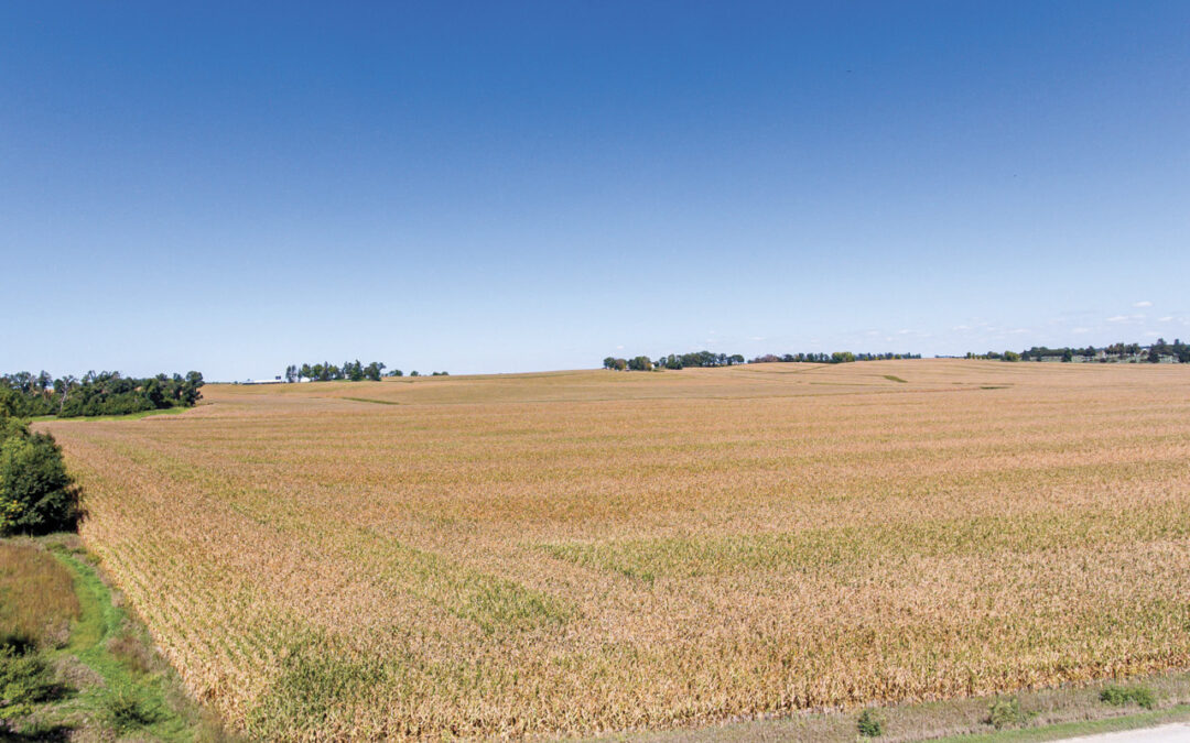 Land Auction | 150 Acres for Sale in Traer, Iowa