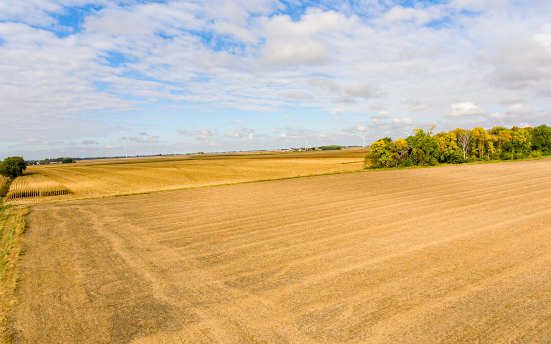 Land Auction | 233 Acres for Sale in Osage, Iowa