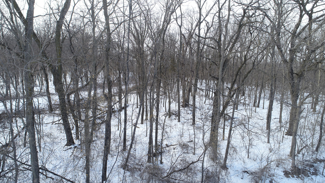 13 Acres for Sale in Butler County, Iowa