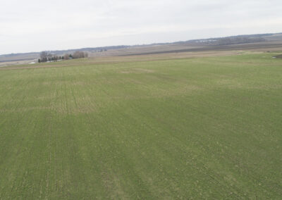 38 Acres of Farm Land for Sale