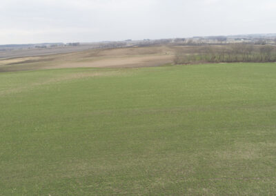 38 Acres of Farm Land for Sale