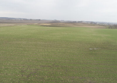 38 Acres of Farm Land for Sale