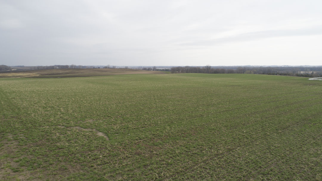 38 Acres of Farm Land for Sale