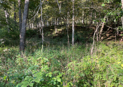 Decorah Acreage for Sale | 3091 Springwater Wooded Lot