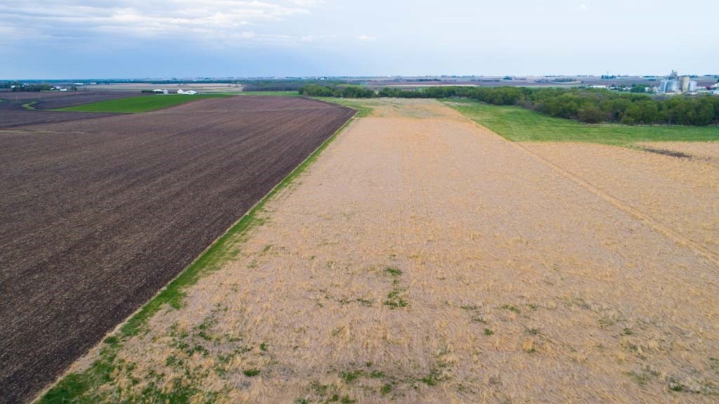 Grundy County Land for Sale | 81 Acres | Huff Land Company